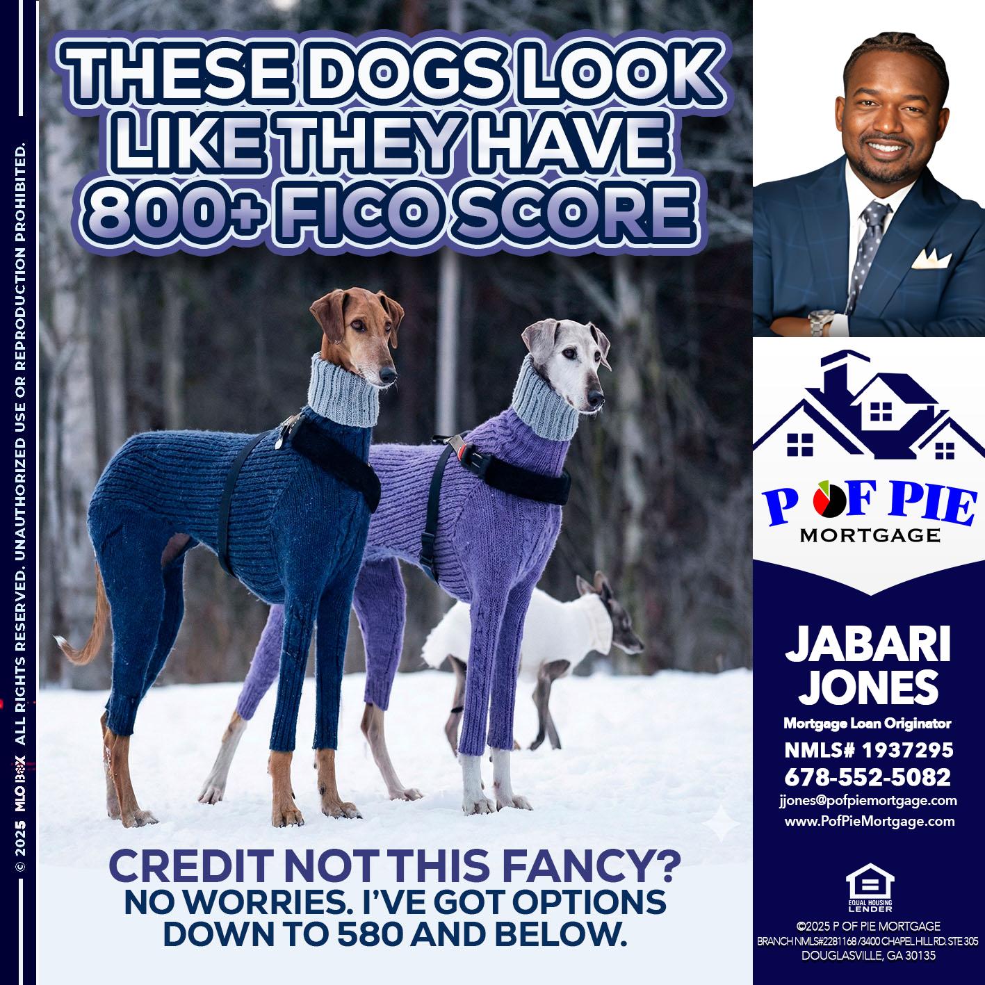 THESE DOGS LOOK - Jabari Jones -Mortgage Loan Officer